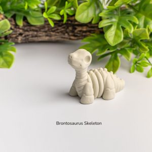 Baby Brontosaurus Skeleton Fidget by ZOU3D