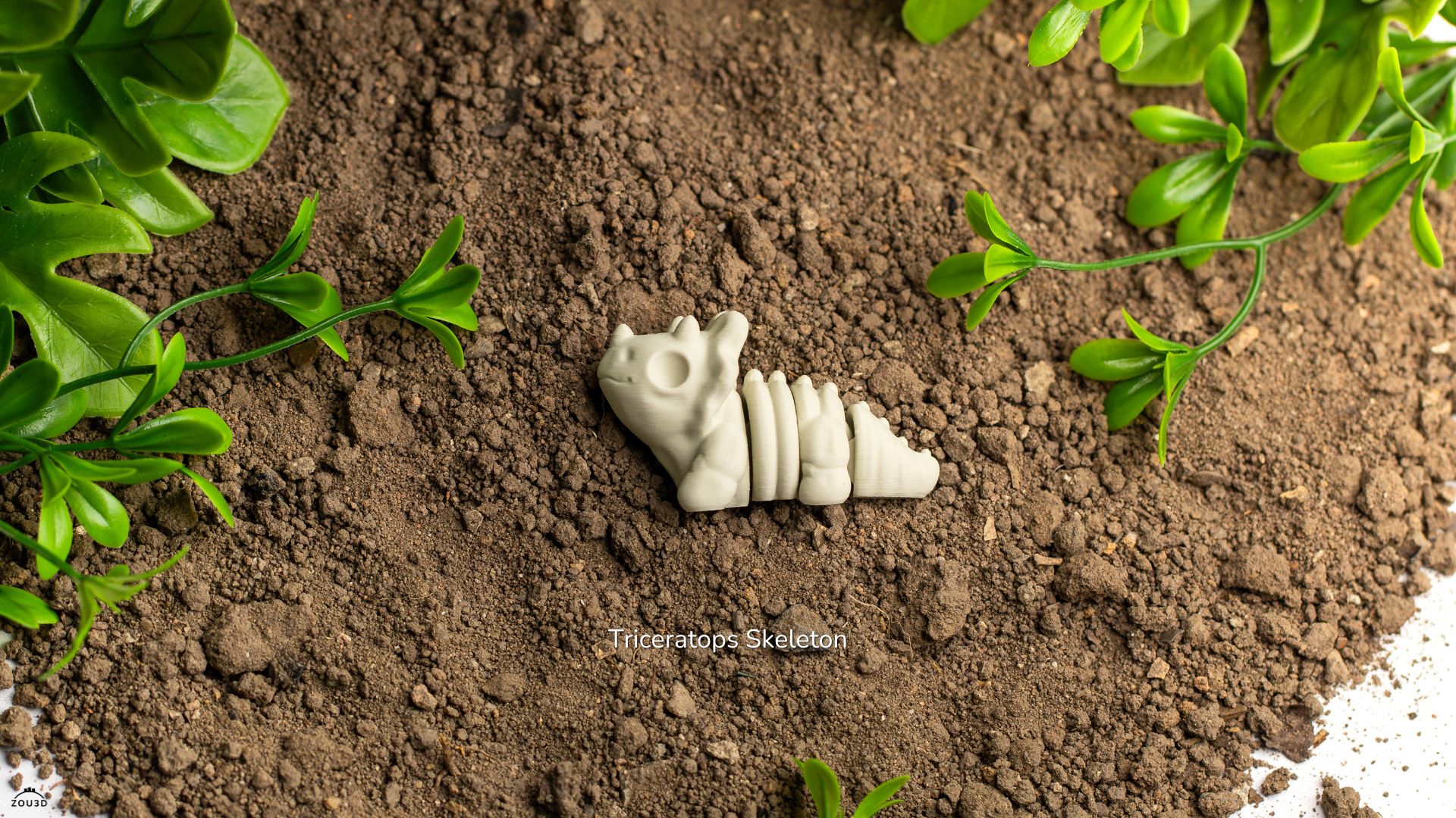 Baby Triceratops Skeleton Fidget by ZOU3D - Image 2