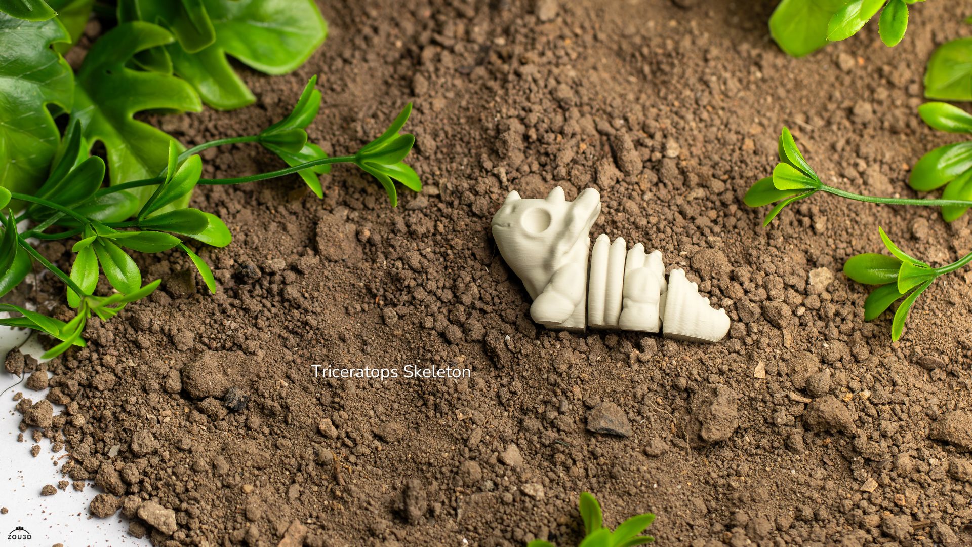 Baby Triceratops Skeleton Fidget by ZOU3D - Image 4