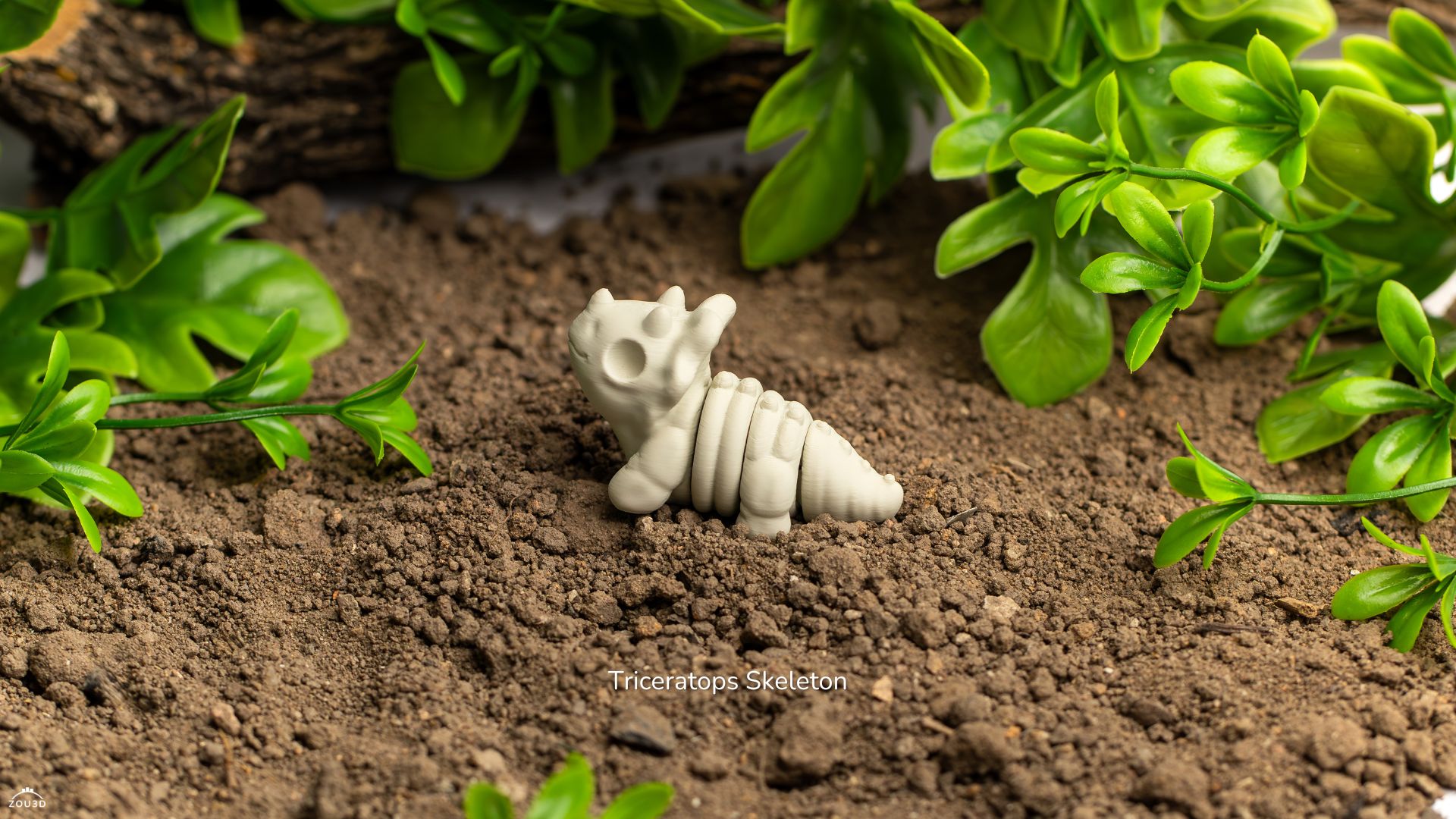 Baby Triceratops Skeleton Fidget by ZOU3D - Image 3