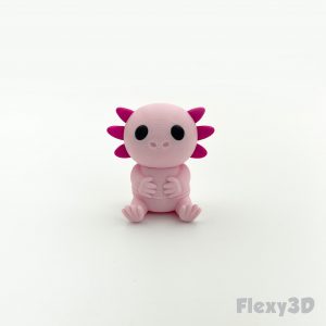 Flexy3D - Axolotl Fidget - 1
