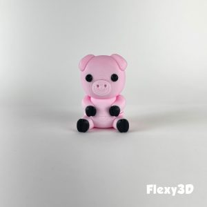 Flexy3D - Pig Fidget - 1