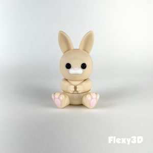 Flexy3D - Bunny Fidget - 4